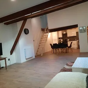 Les Charmes De Appart hôtel Trévoux
